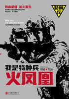 我是特种兵之火凤凰(DVD版)