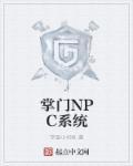 掌门npc系统txt