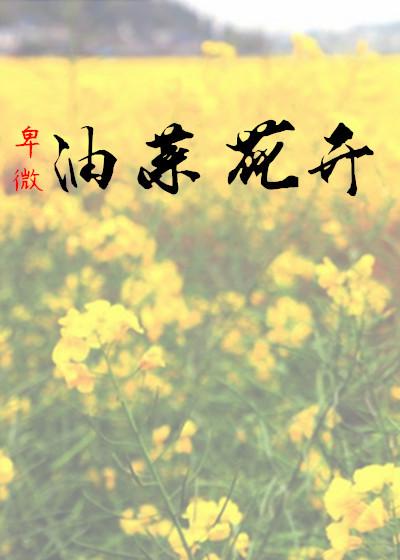 油菜花开文案