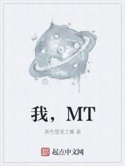 我mt4机械师宝石搭配