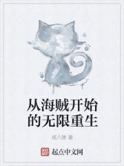 无限从海贼王开始