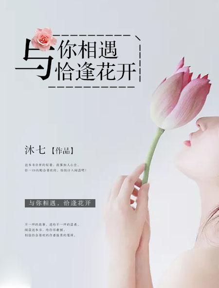 与你相遇恰逢花开简介