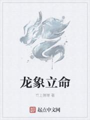 龙象什么意思