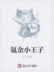 氪金小王子野猪佩琪