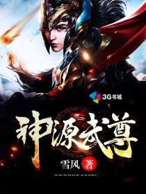 神源武尊为什么无结尾