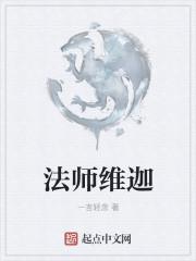 法师维迦txt精校