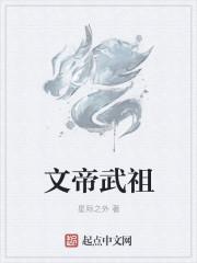 文帝好还是武帝好