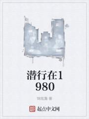 我在1980年有一