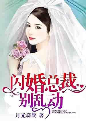 闪婚总裁别乱动免费阅读