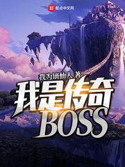 我是传奇boss精校版TXT