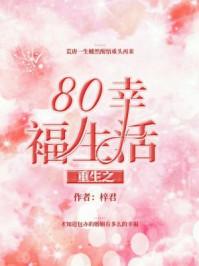 重生之80幸福生活何婉清