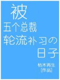 被5个总裁补课