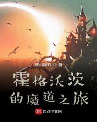 魔道祖师霍格沃茨