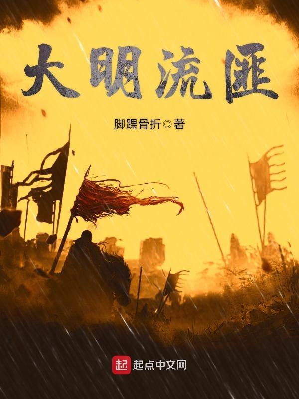 大明流匪无错版