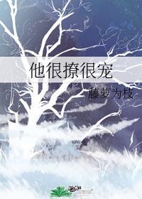 宁蓁陆执介绍