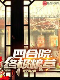 四合院长篇连载