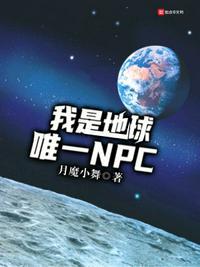 我是地球唯一NPC 起点