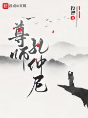 尊师孔仲尼TXT