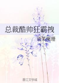 总裁酷帅狂霸拽 语笑阑珊 百度