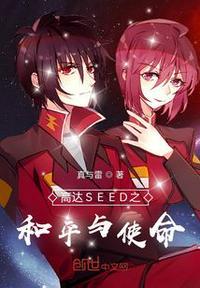 高达和高达seed