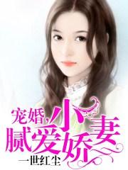 七零宠婚小娇妻夏