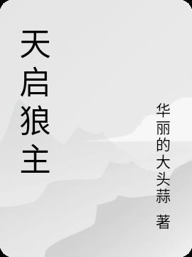 天启狼叔