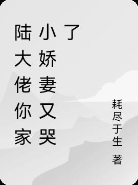 陆大佬的小可爱