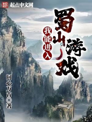 我能进入蜀山游戏防盗版