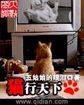 猫行天下旅行社