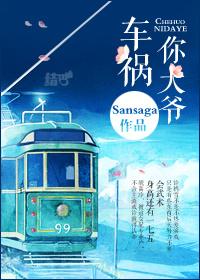 车祸你大爷 Sansaga