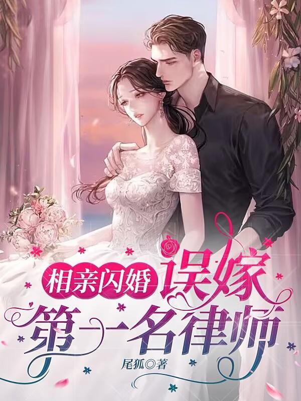 闪婚嫁律师老公