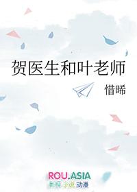 贺医生和叶老师贺医生为什么离开