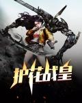 护花殿主免费阅读