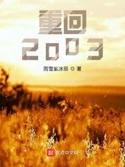 重回2003雨雪紫冰辰txt