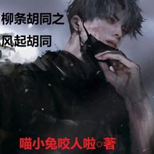 柳条胡同之风起胡同最新章节列表