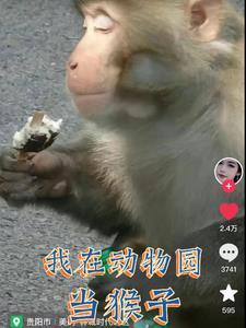 想变成人的猴子读后感