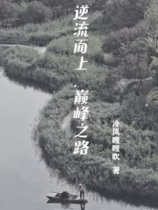 官道人家怎么样