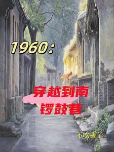 四合院抓特务