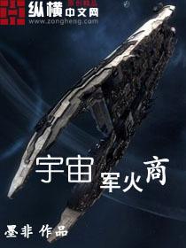 宇宙军火商txt