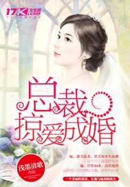 总裁掠爱成婚无删减版