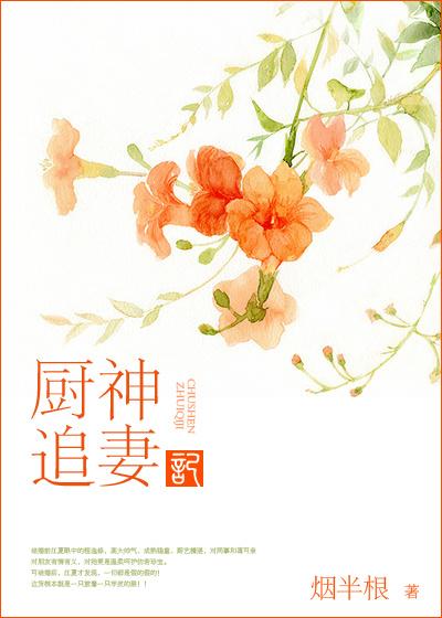 厨神追妻记 烟半根讲什么