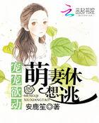 暖婚蜜爱盛宠小甜妻