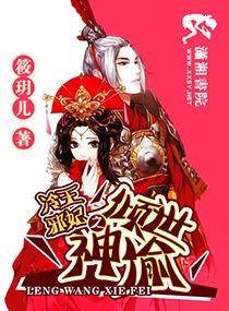 冷王邪妃之倾世神偷全集免费完结