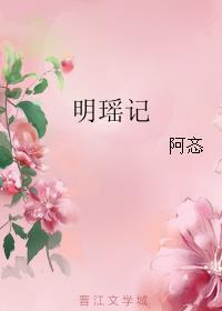 明瑶记讲什么