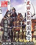 武田家的明国武士 第1章