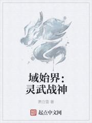 域始界：灵武战神