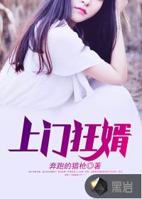 上门狂婿